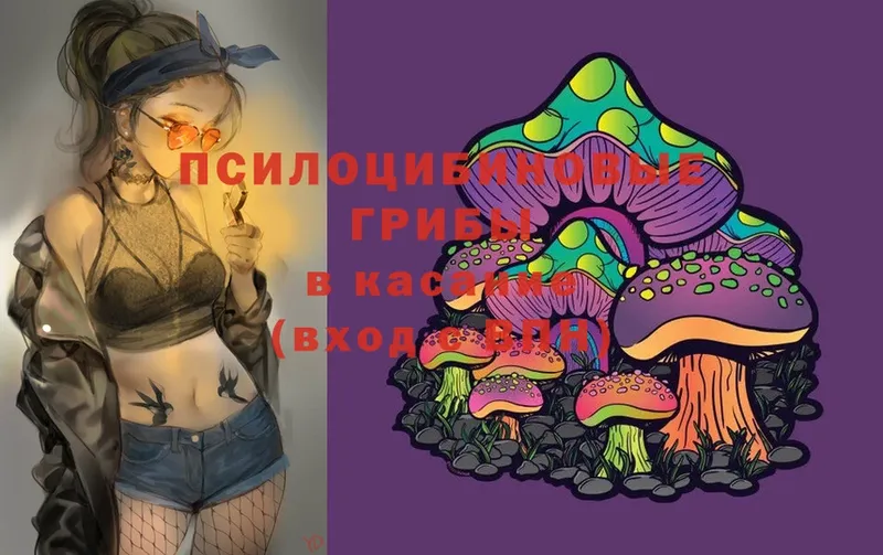 Псилоцибиновые грибы Magic Shrooms  Геленджик 